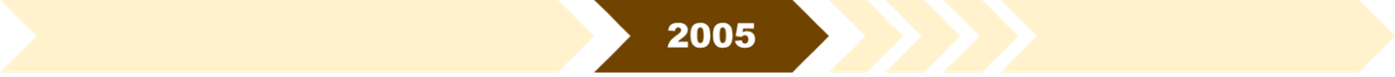 2005年：推出「中央注册制度」及「综合注册资讯系统」